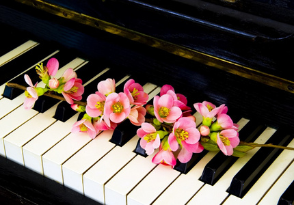 慰问卡在钢琴上的花
