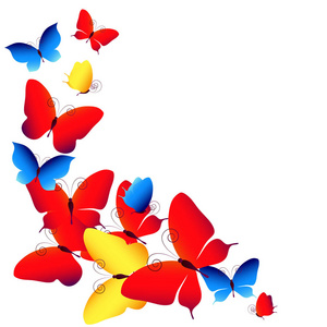 美丽的颜色蝴蝶被隔绝在白色背景上