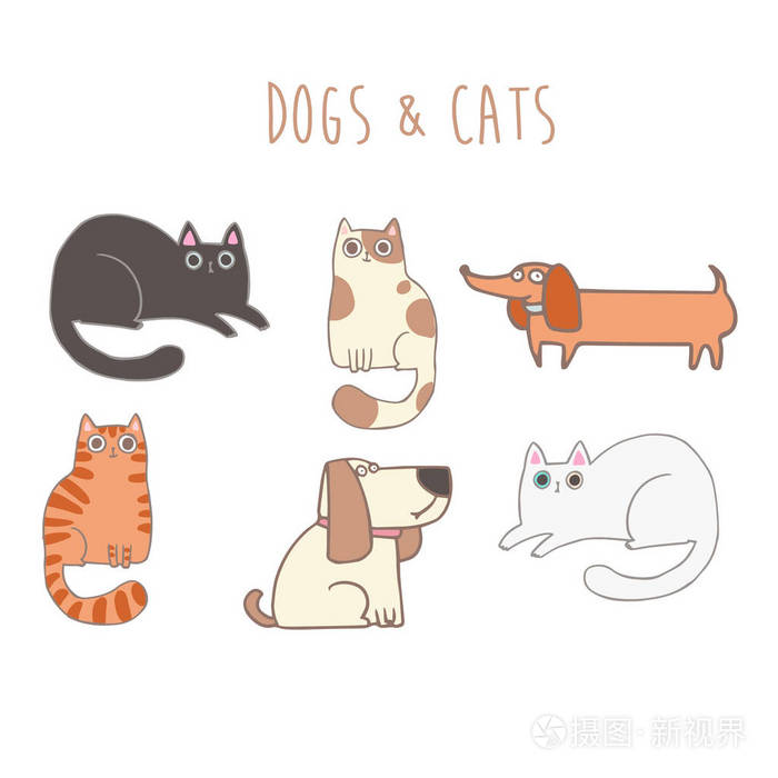 一套可爱的猫和狗插画-正版商用图片0py9nj-摄图新视界