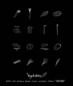 蔬菜和水果插图手工绘制食品配料矢量