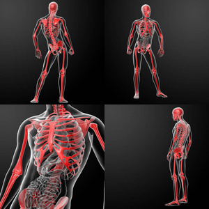 3d 用红色 X 射线绘制骨架