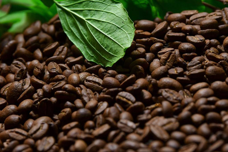 新鲜的咖啡豆和绿叶