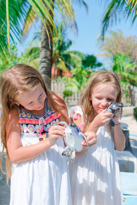小孩子用手中储备的小海龟。女孩喜欢可爱的宠物这么多
