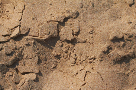 干沙滩砂的背景纹理, 特写
