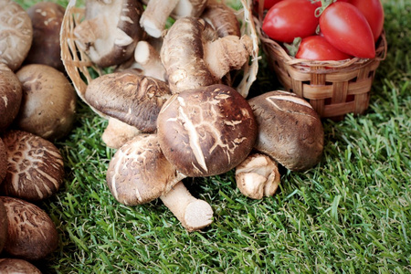 蘑菇和蔬菜的烹饪