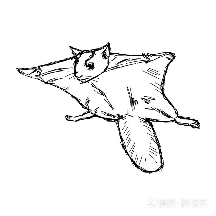 插画矢量手绘涂鸦的飞鼠或问世