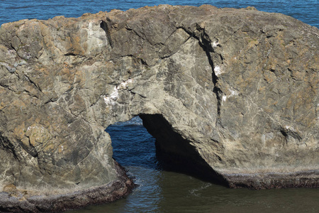 沿着俄勒冈海岸的拱形岩石。俄勒冈州, 布鲁金斯, 拱摇滚, 夏季