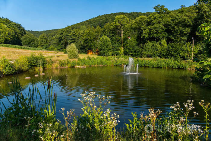 一个小池塘在风景如画的区域与喷泉击中在它的中部, 坐落在茂密的森林