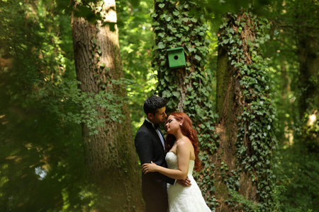 美丽的新婚夫妇，在树林里拥抱