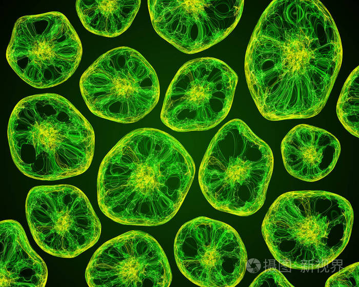 细胞在显微镜下的生活