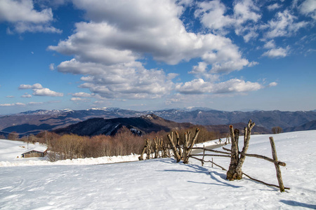 意大利大多自农村的冬季景观