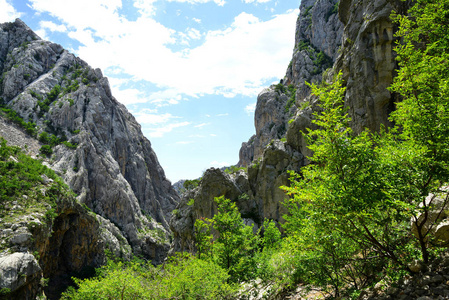 伟大的帕克莱尼采峡谷国家公园在韦莱比特山, 克罗地亚图片