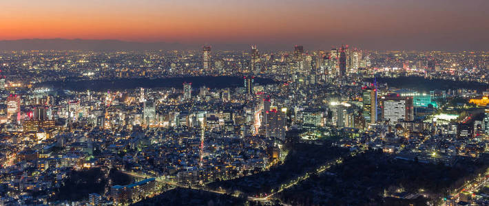 日本东京城市天际线景观