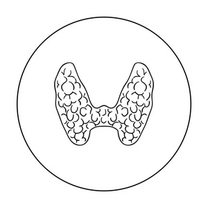 人类甲状腺在白色背景上孤立的大纲样式图标。人体器官符号股票矢量图照片