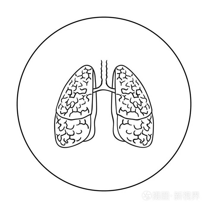 人肺图标在白色背景上孤立的轮廓样式.人体器官符号股票矢量图
