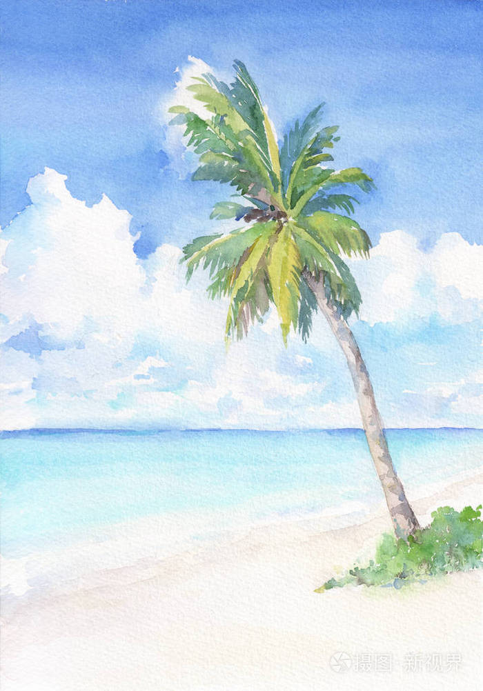 天堂热带海滩与棕榈树.水彩画手画插图