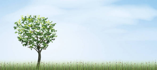 孤树绿场区, 蓝天白云背景。户外自然抽象背景。用于自然文章在印刷品和网站。矢量插图