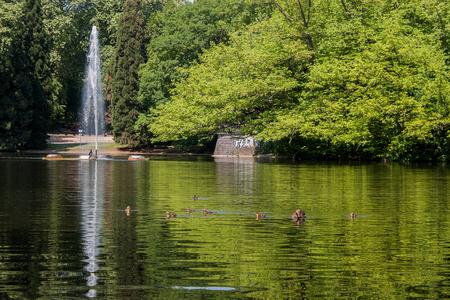 美丽的公园场面在 Volksgarten 公园在科隆, 德国