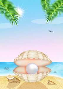 在海滩上的贝壳珍珠