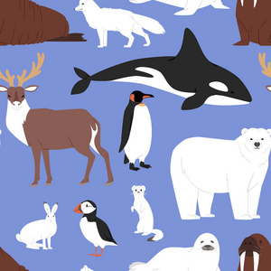北极动物卡通矢量北极熊或企鹅字符收集与鲸鱼驯鹿和海豹在白雪皑皑的冬季南极洲设置无缝模式背景