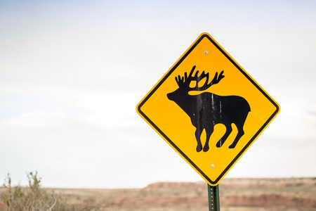 黄色的道路标志，警告打击野生动物