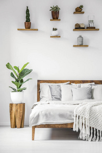 明亮, 植物卧室内部与木制家具, 舒适的床单, 枕头和天然植物在白色的墙壁上