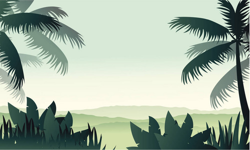 森林景观的剪影棕榈