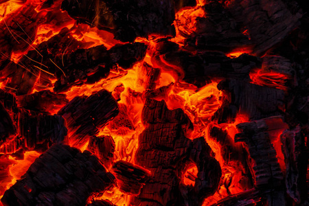 火。木柴在火中燃烧。烧煤