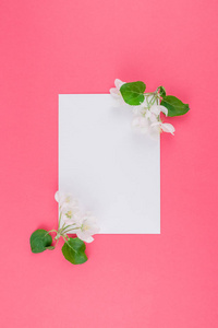 创意平躺概念空白明信片框架的顶部视图模拟和苹果树花花瓣在柔和的粉红色背景与拷贝空间在极小的样式, 字体模板, 文本或您的设计