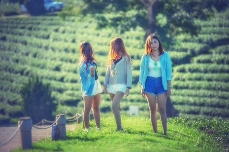 三个亚洲女人在茶园在绿色草地上行走
