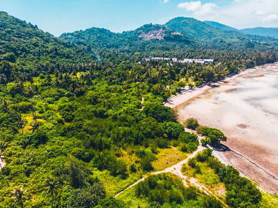 美丽的热带海滩和海的鸟瞰在海岛为旅行和假期的树