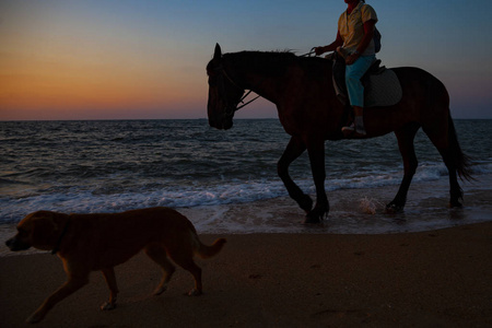 日落时分沙滩上的女人骑着马和狗