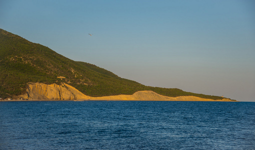 海岸的海