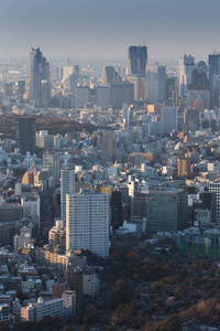 日本东京城市天际线景观