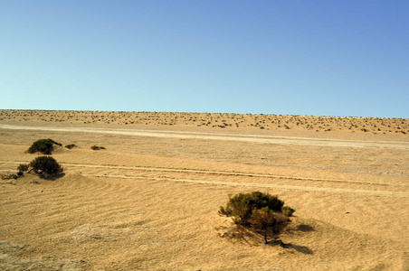沙沙丘在大撒哈拉沙漠。突尼斯.非洲