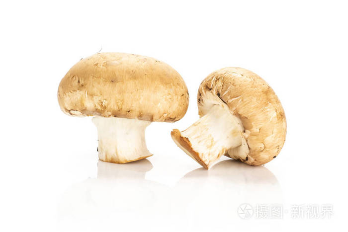 两个新鲜的生褐色 champignons 在白色背景上分离