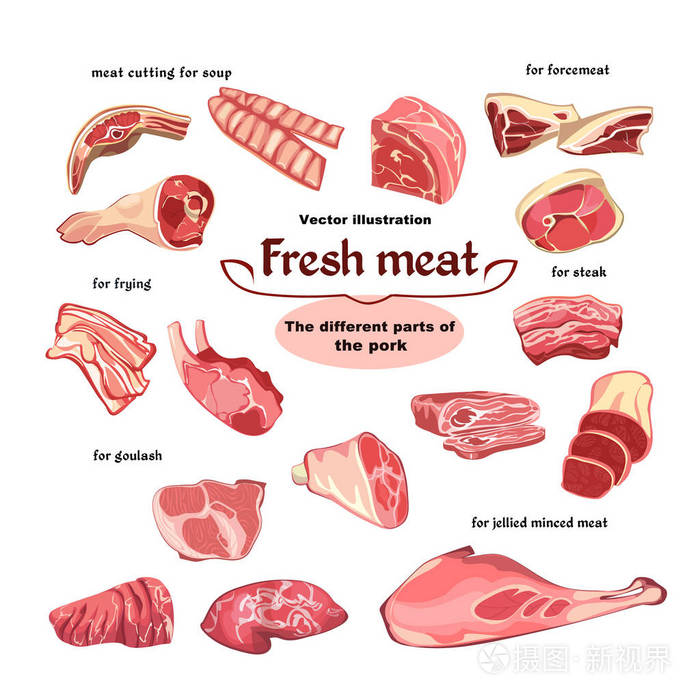 自然切割猪肉肉部件集插画-正版商用图片0q72v5-摄图