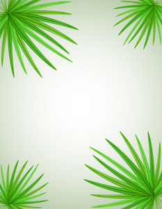 棕榈科矢量图