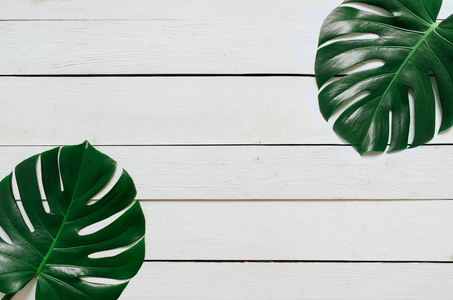 两个绿色龟背竹热带叶子框架在白色木木板背景。用于复制文本字体的空白空间