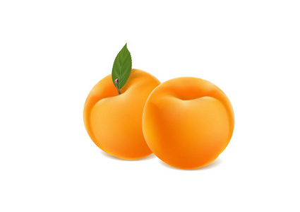 在白色背景上的成熟杏子