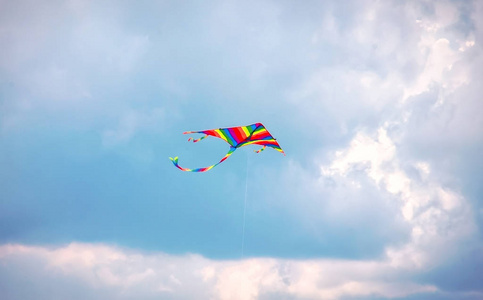 风筝在蓝天下飞翔, 夏日佳节, 选择性聚焦