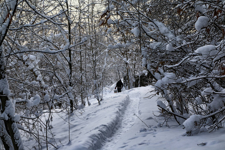 典型的俄罗斯遗弃白雪覆盖的村庄在冬季晚上和下雪周围的树木