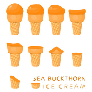天然沙棘冰淇淋在华夫饼锥上的矢量图解。冰淇淋模式包括甜冷冰淇淋, 美味的冷冻甜点。各式各样中沙棘鲜果的研究