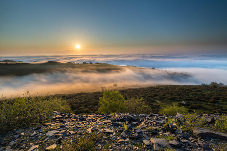 雾, 太阳和马在阿斯图里亚斯的山, 光线的光创造了一个光学效果的野生马的雾, 直到日落