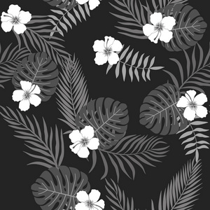 热带背景与棕榈叶。无缝的花卉图案。夏天向量例证。黑白相间