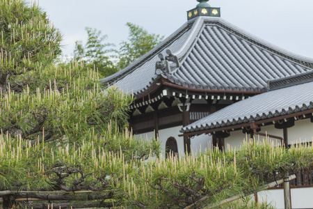 对吉 东寺 是景行在一个佛教寺庙