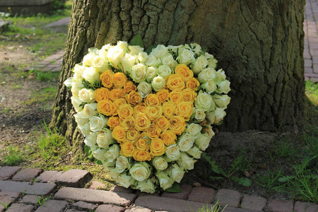 心形同情花或葬礼花在树, 白色和黄色玫瑰附近