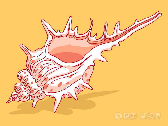 沙滩上的贝壳的插图插画-正版商用图片0q8n70-摄图新视界