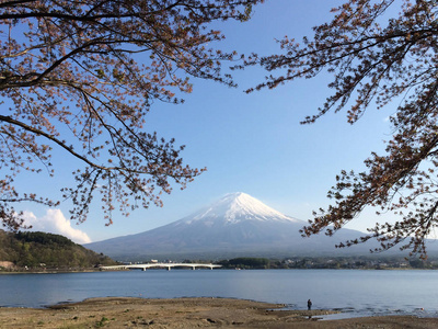 河口湖湖山梨日本富士山