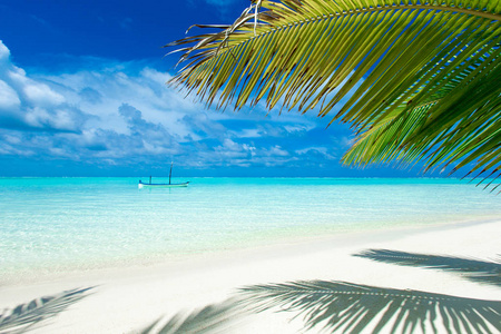 在马尔代夫与几个棕榈树和蓝色泻湖地处热带的海滩